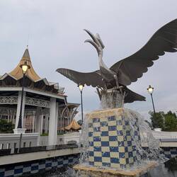 Hornbill - Nationalvogel