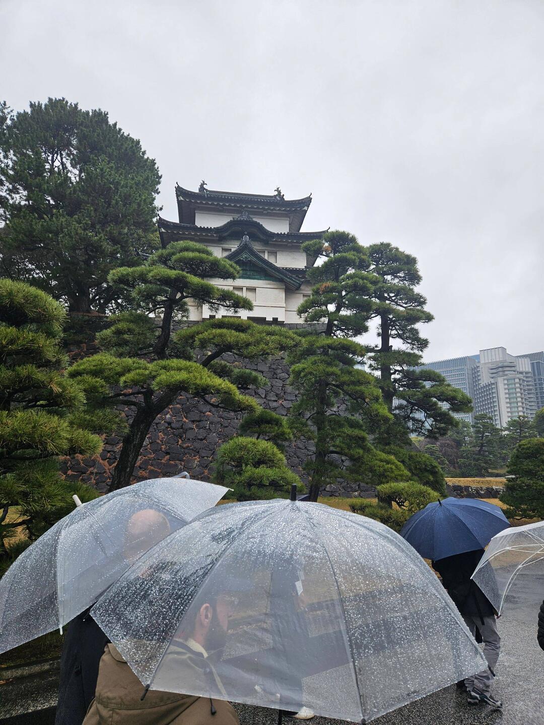 5 guides linguistiques: anglais, espagnol, chinois, coréen et français.