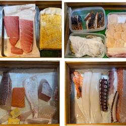 frischer Fisch... lecker