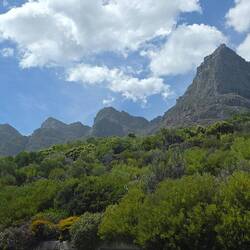 Die zwölf Apostel (sind aber mehr 😏)