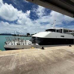 Färjan som tar oss över