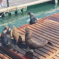 Wartezeit am Bootsanleger