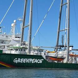 Die Rainbow Warrior von Greenpeace
