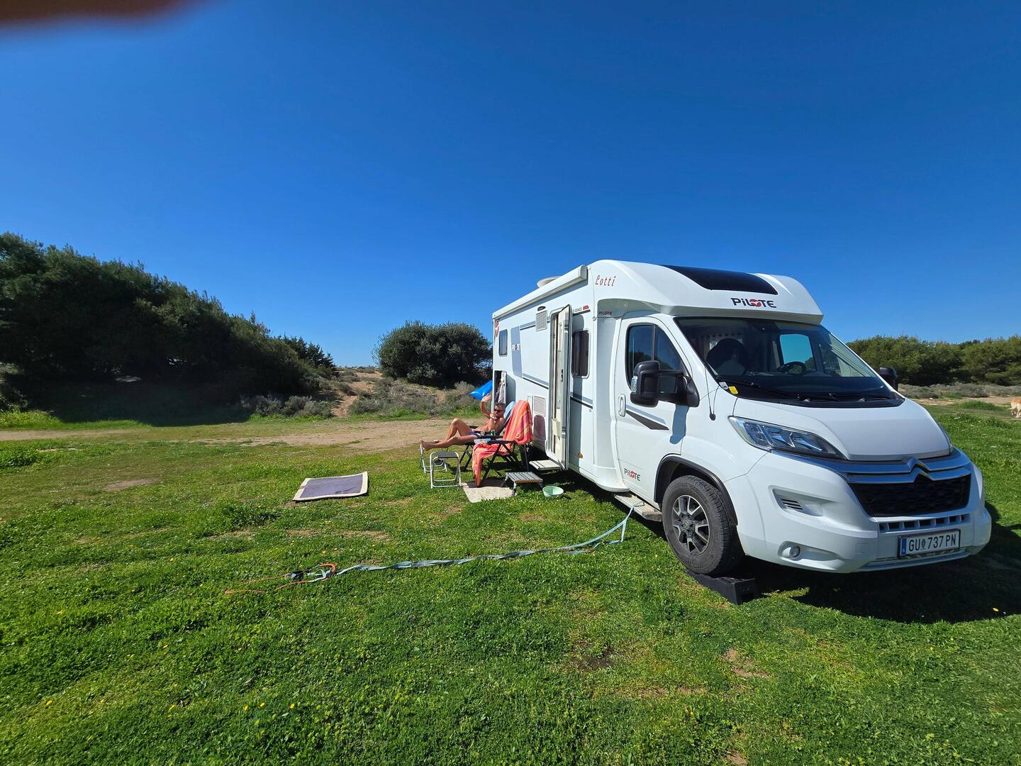 Ein grünes Fleckerl Erde ... super für Sindy 🐕‍🦺😍 (uns gefällt es natürlich auch 😅)