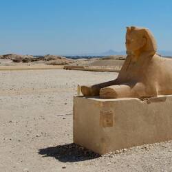 Sphinx auf allen Wegen