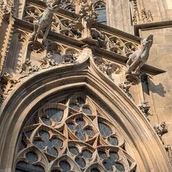 Loving the gargoyles