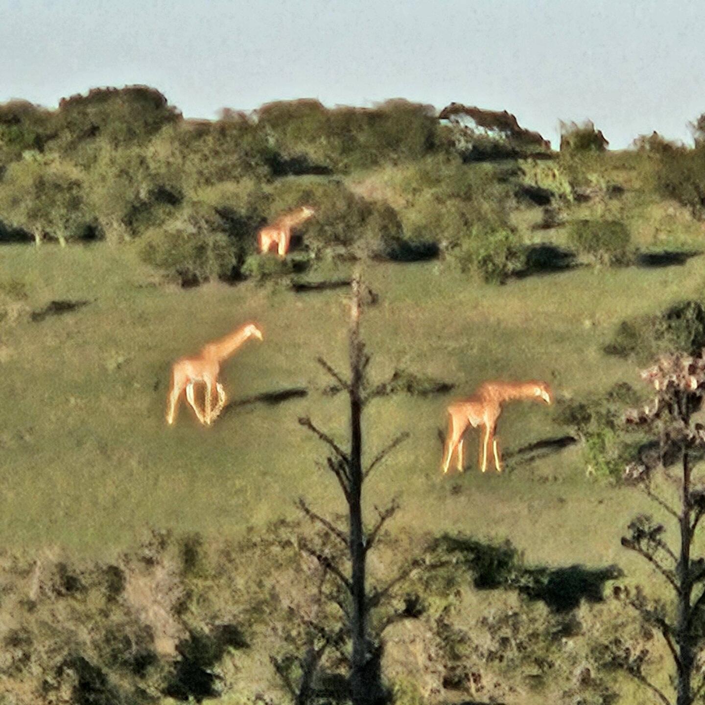 Um 6.30 Uhr vom Bett aus zu sehen