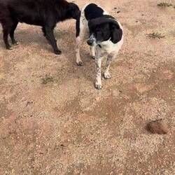 Begrüßungsbande bei der weggespülten Straße! 😍