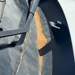 Es hat in der Nacht etwas gestürmt! 😱