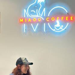 Das Katzen-Café zieht Zisi in seinen Bann