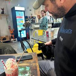 Da kam jemand zum kuscheln vorbei – oder zum naschen?