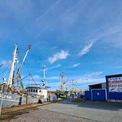 Krabben gab es leider nicht