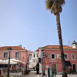 Palmen gehen auch in Cascais ...