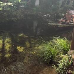 Waka (canoe) demonstration