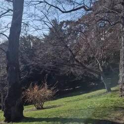 Ih ds Pärkli hani mi verliebt, isch imene Viertu, wo weniger touri und meh local isch😍😍😍