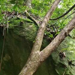 Fleissig, fleissig...