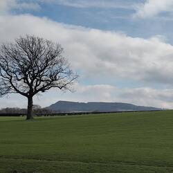 The Cloud or Bosley Cloud; a hill of 1125ft whose shape was carved during the ice age