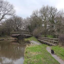 Whiskers heading to the cobbled overspill. Free for the first time since the night before his op