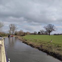 The land opening up to pasture