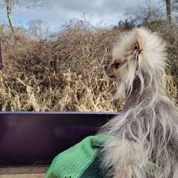 Loving cruising outside in the sunshine