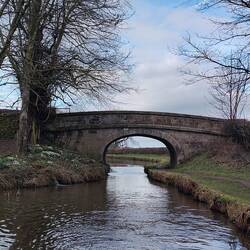Looking back on Stanier 1st Bridge with its swathe of snowdrops