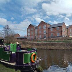The building site opposite was too noisy for Leo to handle