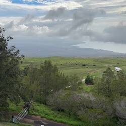 Lacht uns der Vogel aus...?? 😁