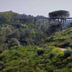 Die Zivilisation ist hier nicht weit 🫣. Vierspurige Autobahn über das Tal.