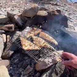 ..wir genießen diese Freiheit sehr 👍🏻🔥