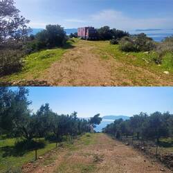 Erich trifft eine Frau,die mit ihrem Husky allein im LKW reist.Sie steht an einer einsamen Bucht🚚