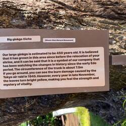 Tells the story of the next picture - a tree that has seen a lot of history!