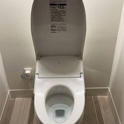 Goodbye Tokyo Toilet - as Dorothy would say, I do believe I'll miss you the most of all!