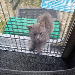 ...und was bekomme ich? 🤣