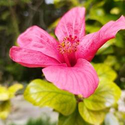 Frühling mit tollen Farben