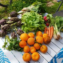 4,99 -was will man mehr 😂