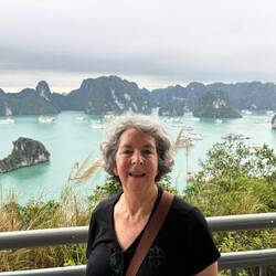 At the top, with a view of the many boats in Ha Long Bay