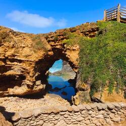 The Grotto
