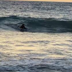 Und auch Papa hatte am Schluss den Dreh raus