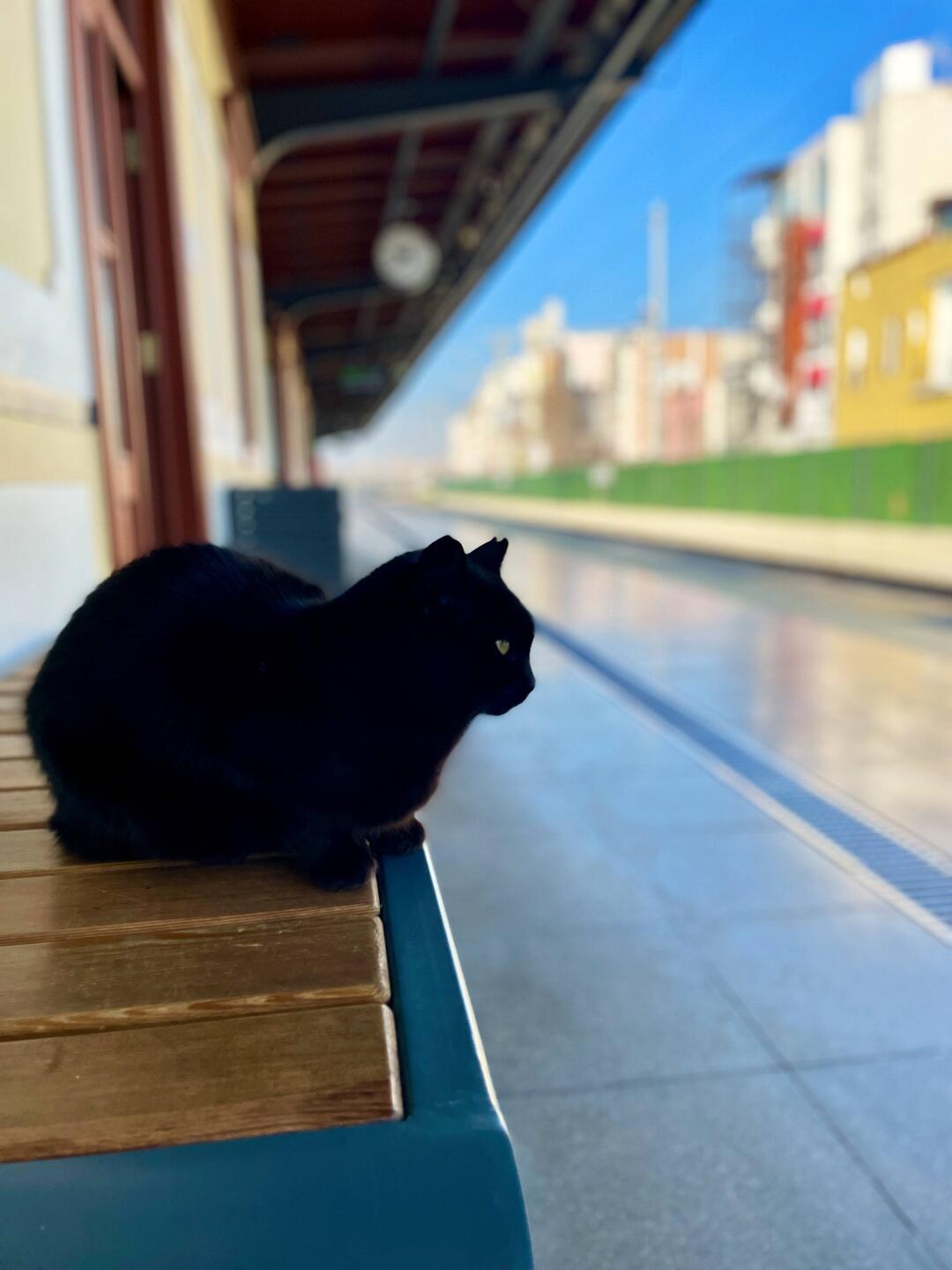 Station Master