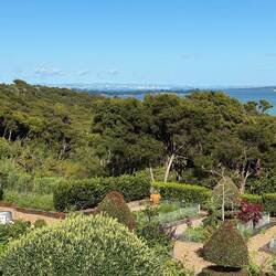 View from Mudcreek Vineyards over Cable Bay with Auckland in the background