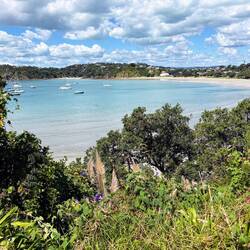View over Oneroa Beach