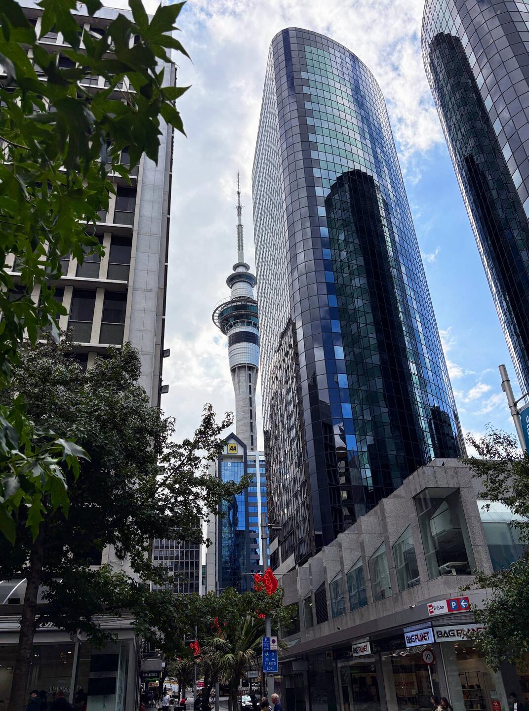 The Sky Tower that defines Auckland's skyline