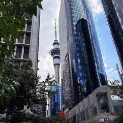 The Sky Tower that defines Auckland's skyline