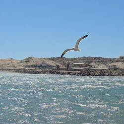 Rückfahrt an der Lagune vorbei