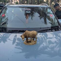 Statt Mercedesstern Heilige Kühe