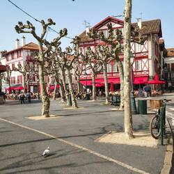 Und wieder zurück durch die City