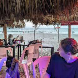 Dogs are not disciplined around here