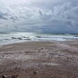 Der mit Muscheln bedeckte Strand 🏖️