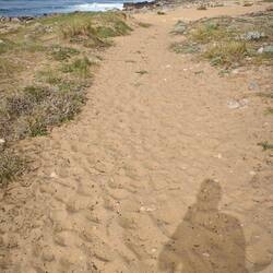 Endlich in Richtung Klippen ...