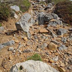 Es geht wieder hoch ...